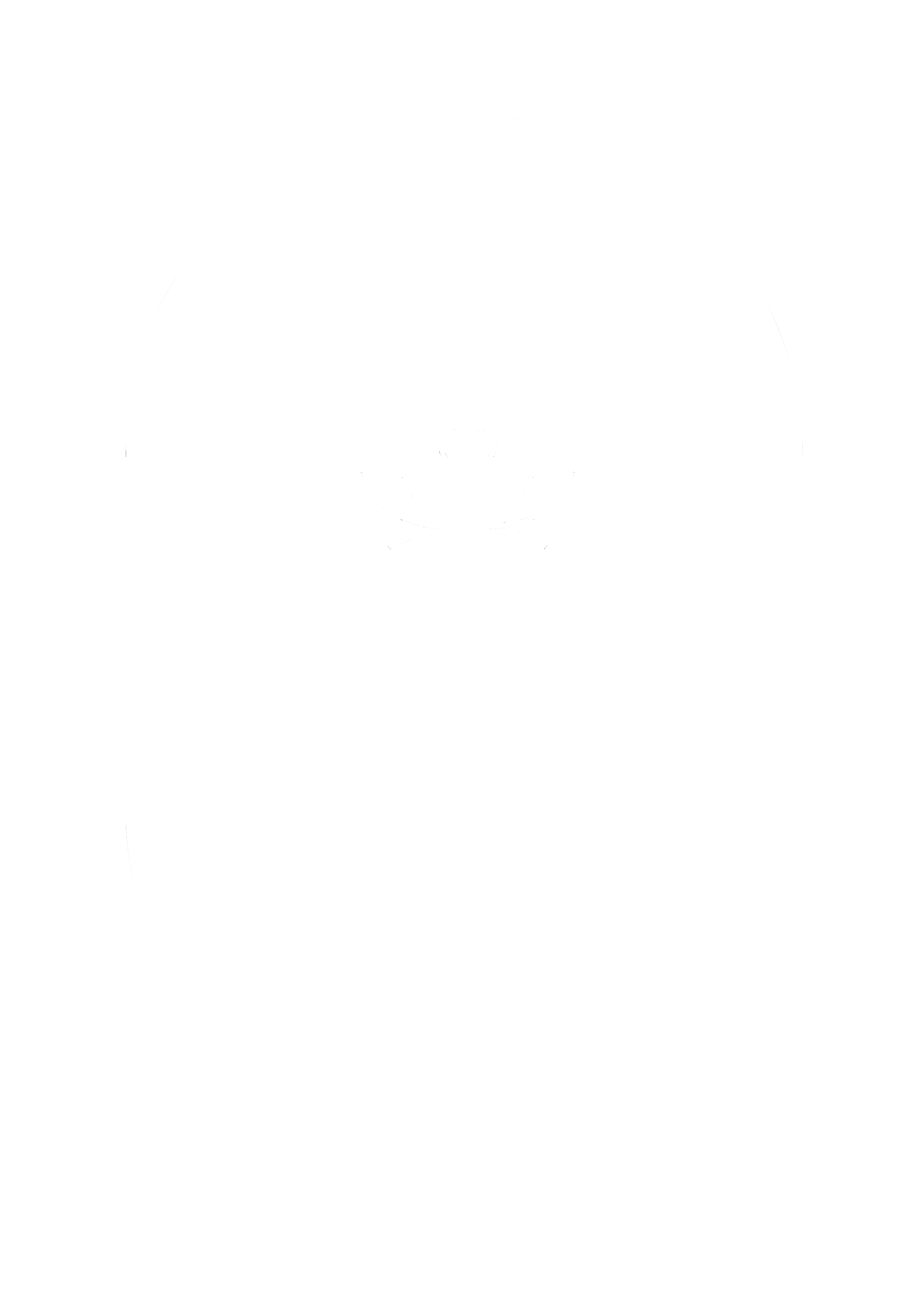 Studio Fjällflora
